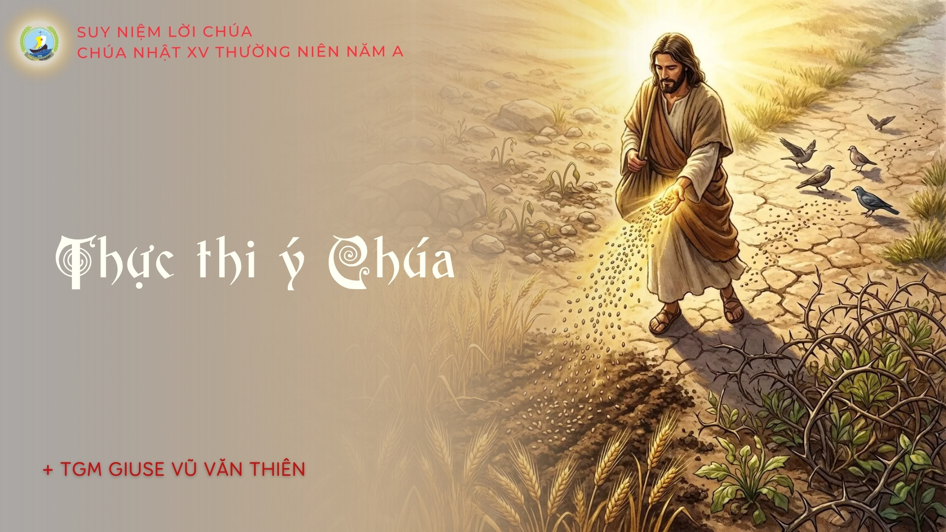 Suy niệm Lời Chúa | Chúa nhật XV Thường niên năm A | Thực thi ý Chúa | TGM Giuse Vũ Văn Thiên